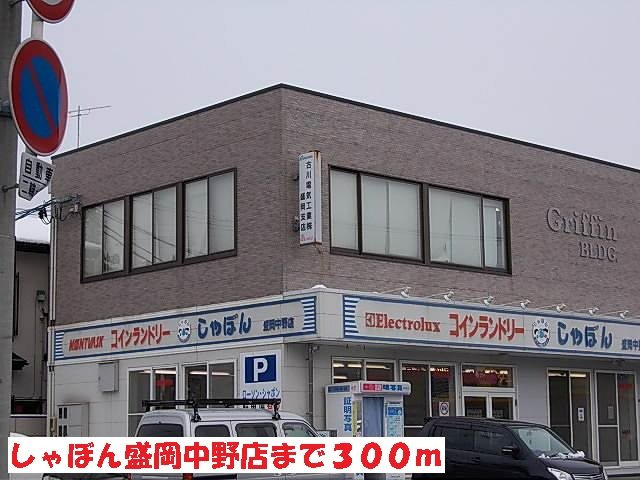 カーサ　ボニータⅡの周辺|しゃぼん盛岡中野店まで300m