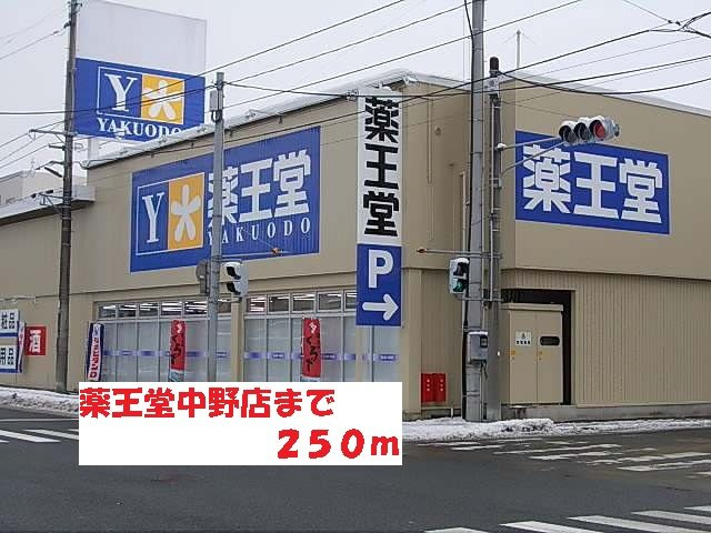 カーサ　ボニータⅡの周辺|薬王堂中野店まで250m