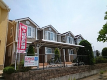 パミドーリⅡの画像