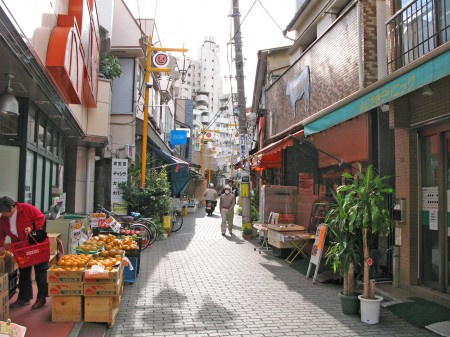 アーバンプレイス東高円寺Ⅴの周辺