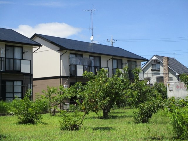 パークアベニューD