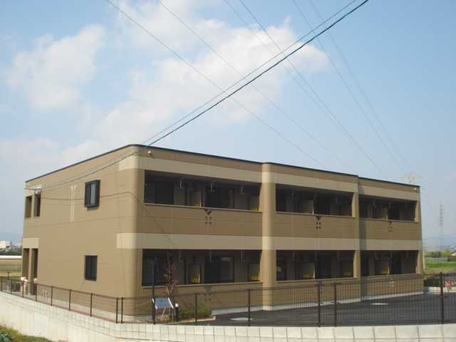 ファレノプシス