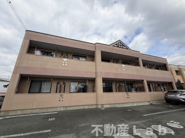 M・Mコンフォルト