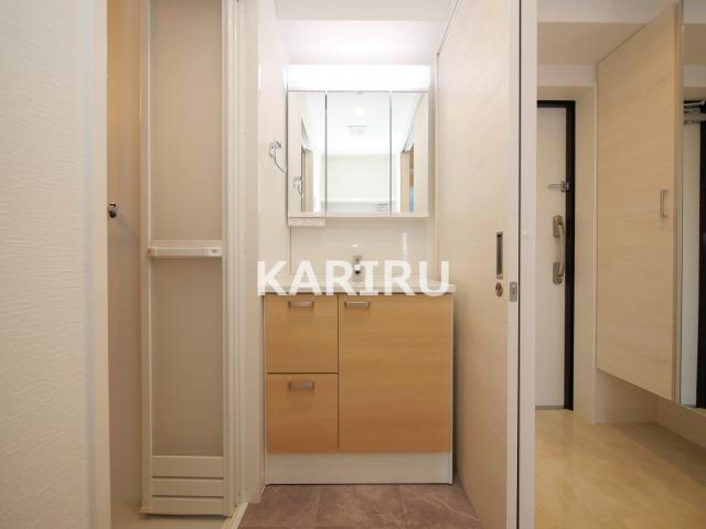 Alivis北梅田の洗面所