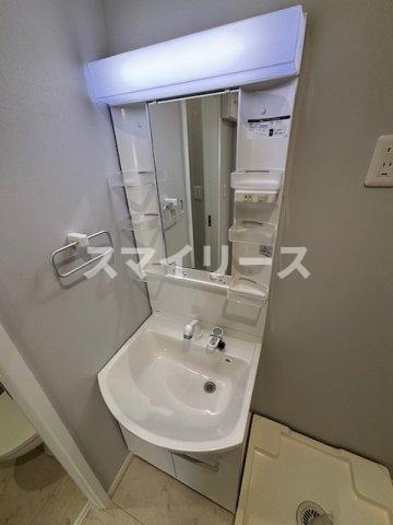 RIZE柏たなかⅡの洗面所
