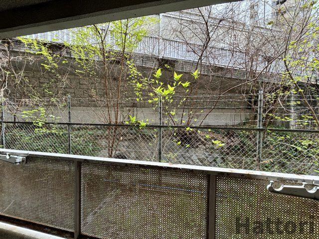 第二福井マンションの展望