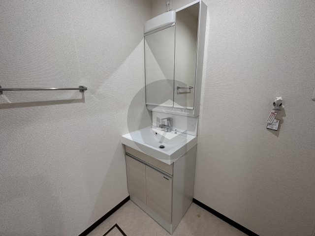 フジパレス河内花園2番館の洗面所