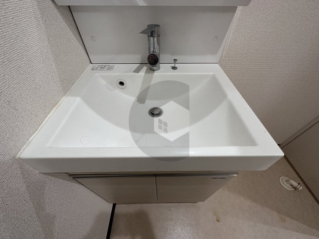 フジパレス河内花園2番館の洗面所