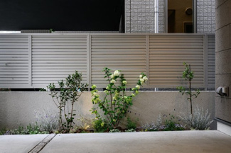 【エントランス】 | ゲストにも自慢できる高級感あるエントランス
2025年4月10日撮影