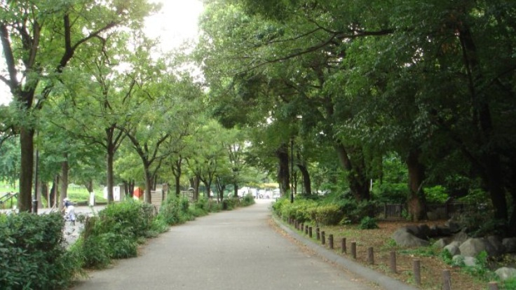 カスタリア新宿夏目坂の周辺|戸山公園