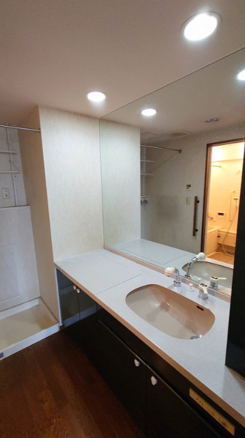 シャレール城山の独立洗面台|独立洗面台で身支度をすべて済ませてしまいましょう