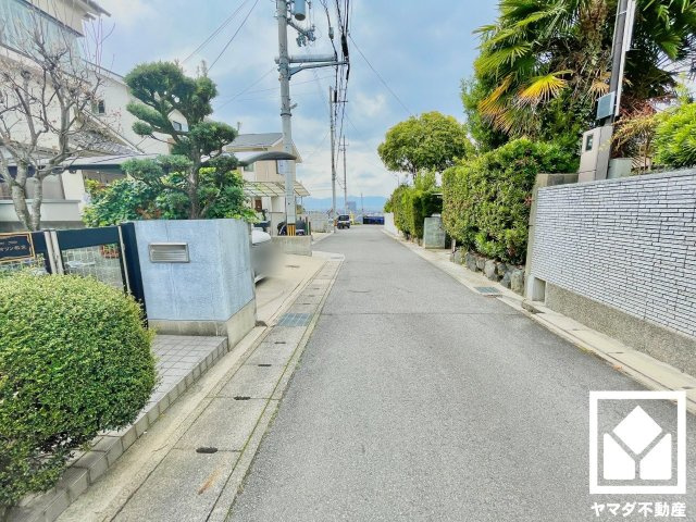 京都市伏見区桃山町正宗の中古一戸建の前面道路含む現地写真