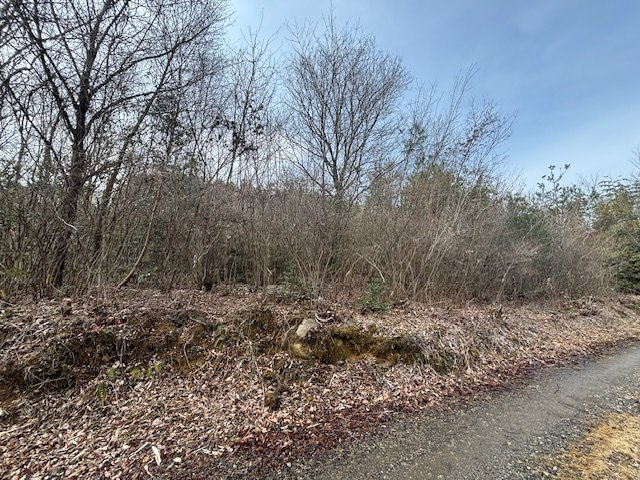 恵那市長島町永田　売土地の画像