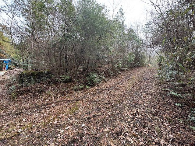 恵那市長島町永田　売土地の画像