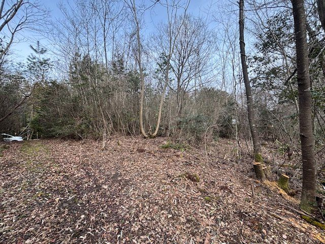 恵那市長島町永田　売土地の画像