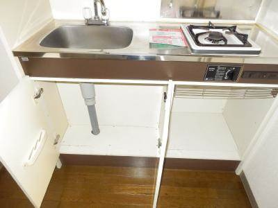 フレグランス大宮のキッチン|キッチン下収納