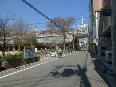 フレグランス大宮の周辺|前面道路