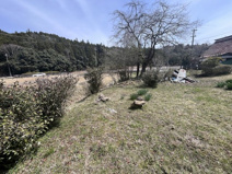 丹波篠山市立金　土地1の画像