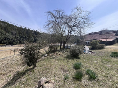 【外観】 | 丹波篠山市立金　土地1