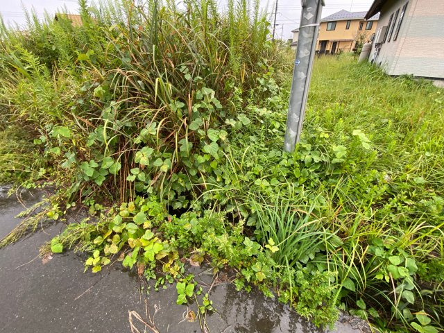 高島市今津町北仰字町田217-23　土地の外観