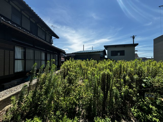 長浜市木之本町廣瀬30-1　他6筆　売土地のその他|庭