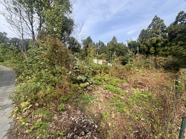 高島市今津町桂740-26　売土地の外観|2024年11月　撮影