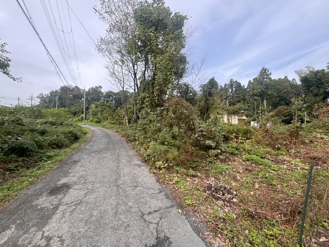 高島市今津町桂740-26　売土地の前面道路含む現地写真|2024年11月　撮影