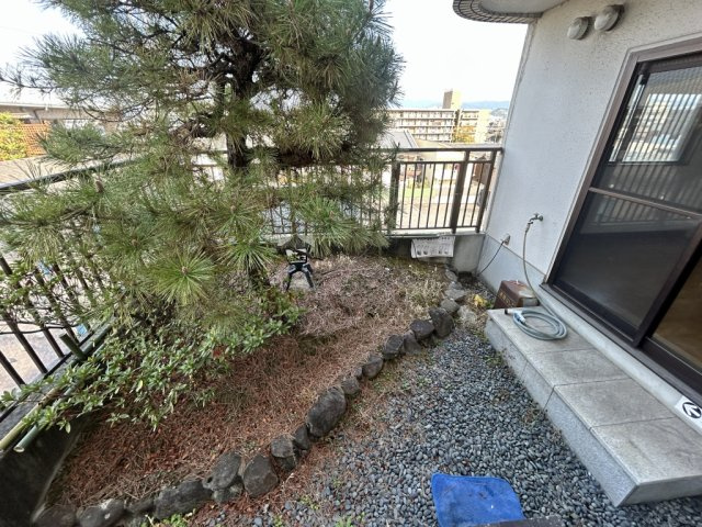 大和高田市本郷町の賃貸マンションの庭