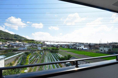 【展望】 | スッド・パラグレッソ