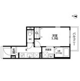 アムールはるかの画像