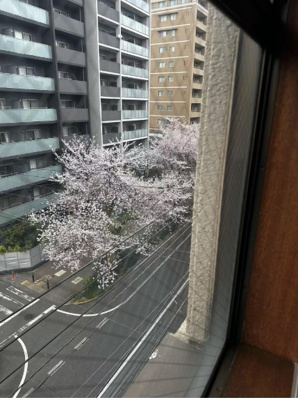 【展望】 | 豊玉屋ビル