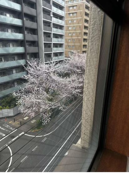 【展望】 | 豊玉屋ビル