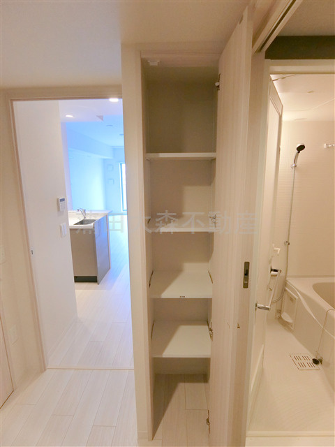 KDXレジデンス田園調布南の収納|洗面入口の棚収納！