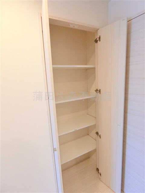 KDXレジデンス田園調布南の収納|リビング入口の棚収納