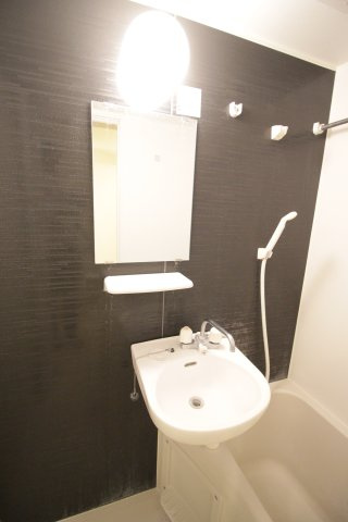 ベルフラッツ元住吉の洗面所