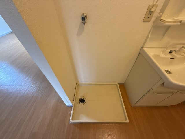 セジュール・プリニエＡのその他