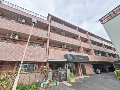 【外観】 | チェリオ聖