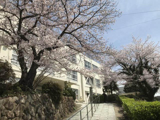 【その他】 | 藤山小学校まで約520ｍです。