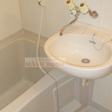 メゾン高山の洗面所