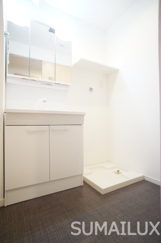 熊本市西区池田４丁目の賃貸マンションの洗面所