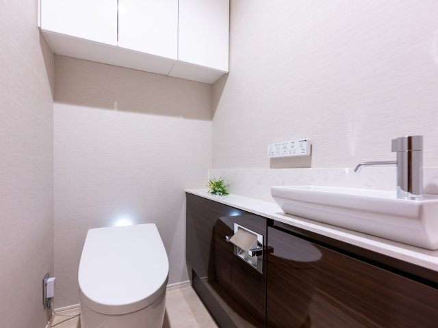 ロイヤルシーズン麻布永坂のトイレ