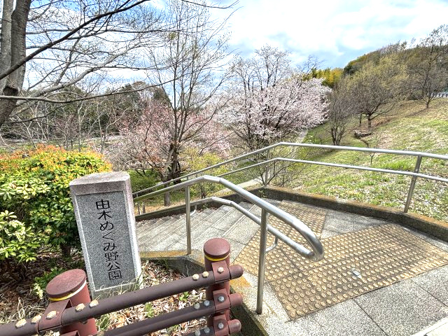 物件から約50ｍ　由木めぐみ野公園　春の季節はお花見もできます