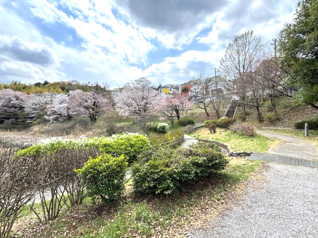物件から約50ｍ　由木めぐみ野公園　お子様の遊び場としてもお勧め