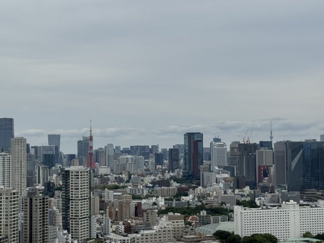 パークタワーグランスカイの展望