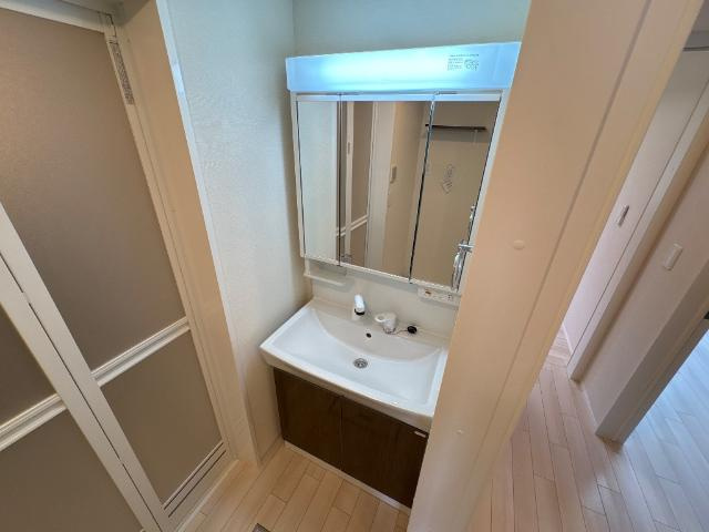 サザンクロスⅢの洗面所|シャンプードレッサー