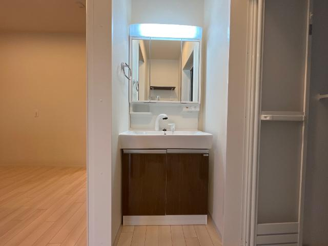 サザンクロスⅢの洗面所|シャンプードレッサー