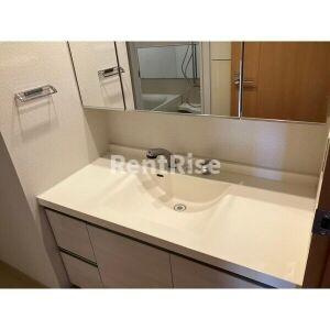 メイツ江南駅前の洗面所