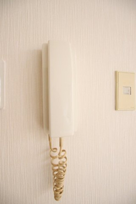 【セキュリティ】 | ラフィーネ深井清水 | インターホン