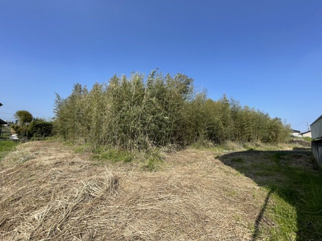 鹿児島市吉野町　土地の外観|南側から見た様子です。
