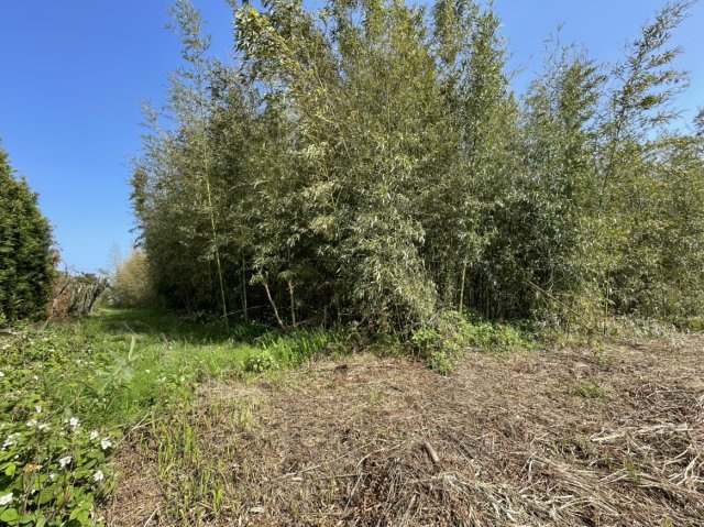 鹿児島市吉野町　土地の外観|北西側から東側をみた様子です。